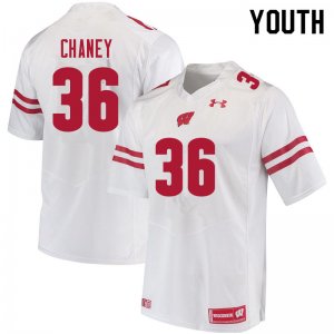 Youth Wisconsin Badgers NCAA #36 Jake Chaney White Authentic Under Armour Stitched College Football Jersey MZ31J74ZQ